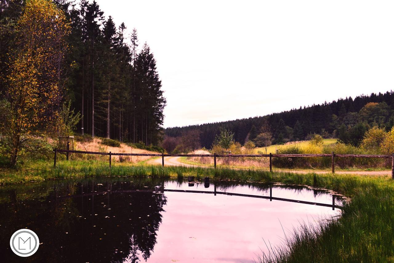 Chalet Le Forestier Büllingen Dış mekan fotoğraf