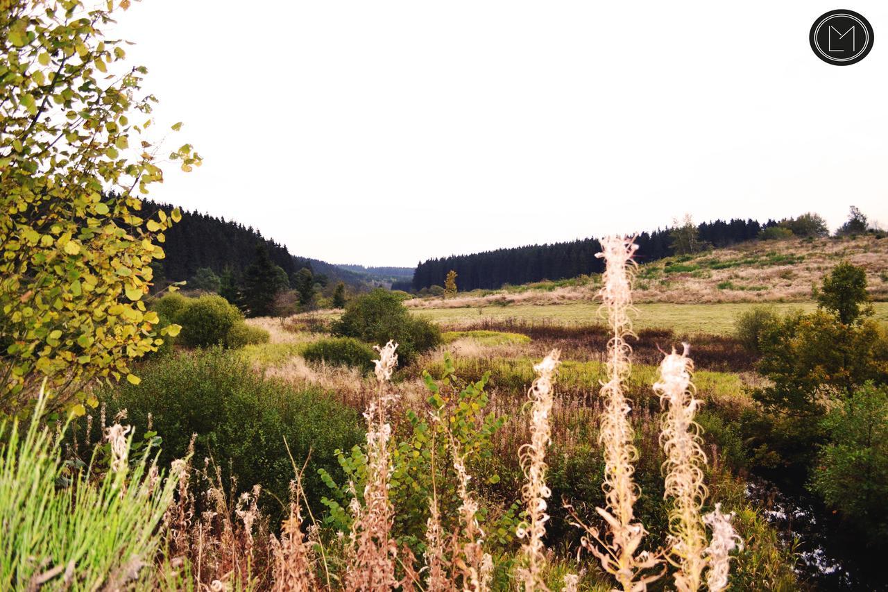 Chalet Le Forestier Büllingen Dış mekan fotoğraf