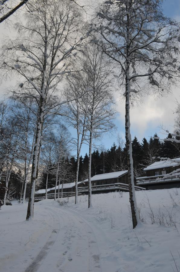 Chalet Le Forestier Büllingen Dış mekan fotoğraf