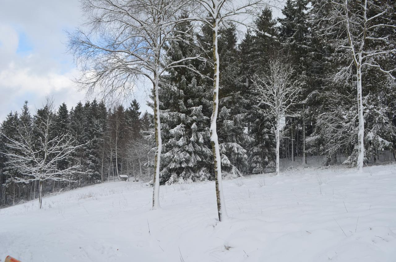 Chalet Le Forestier Büllingen Dış mekan fotoğraf