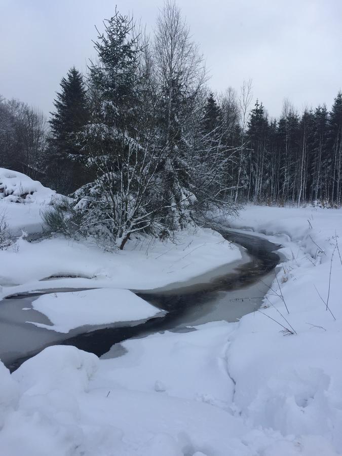 Chalet Le Forestier Büllingen Dış mekan fotoğraf