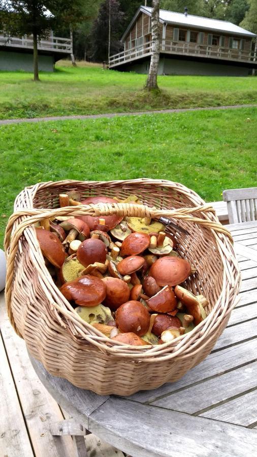 Chalet Le Forestier Büllingen Dış mekan fotoğraf