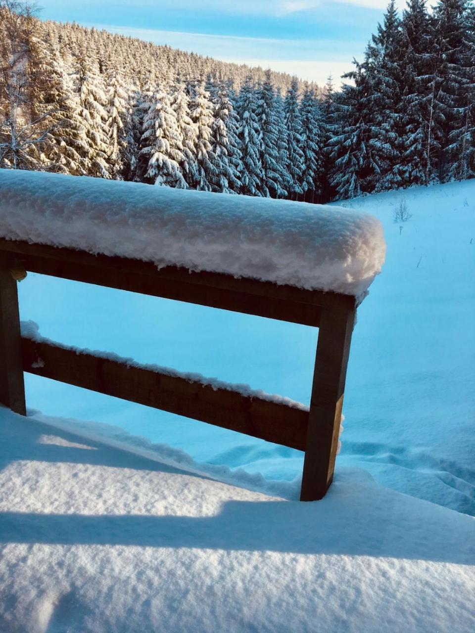 Chalet Le Forestier Büllingen Dış mekan fotoğraf